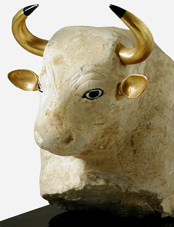 h7-product-12-gallery-2 a