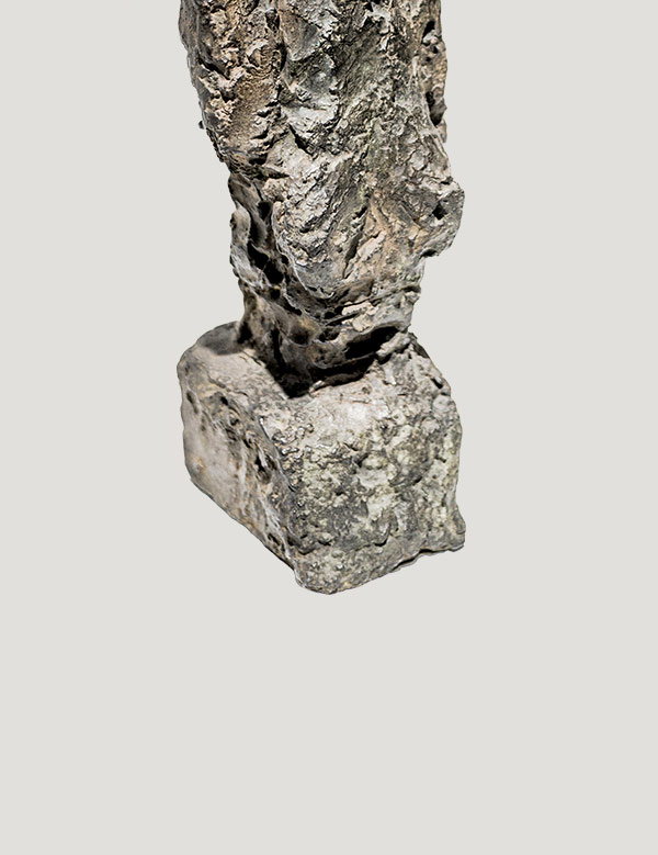 main-home-product-2a d